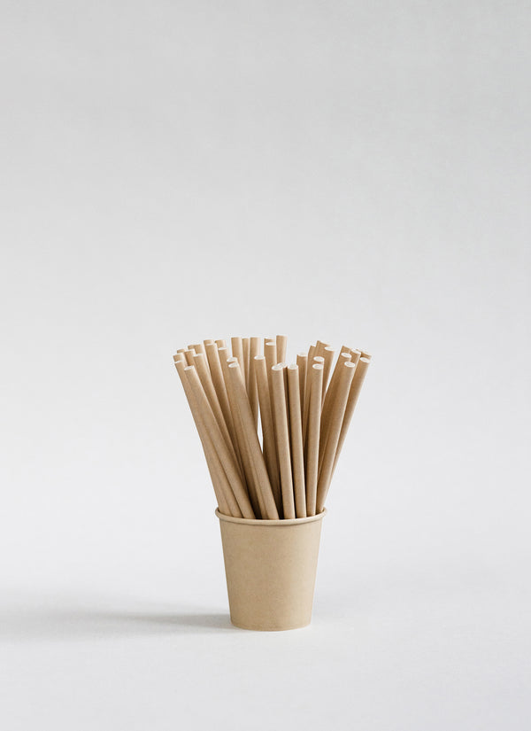 Paper straws 6 inches