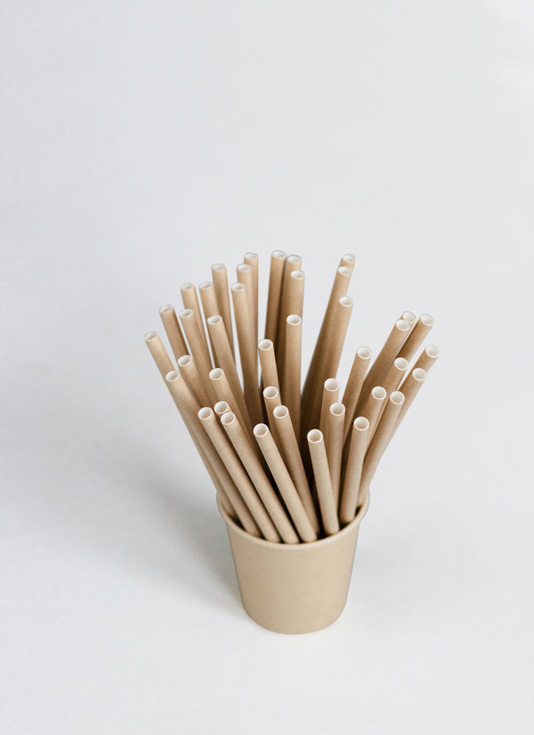 Paper Straws