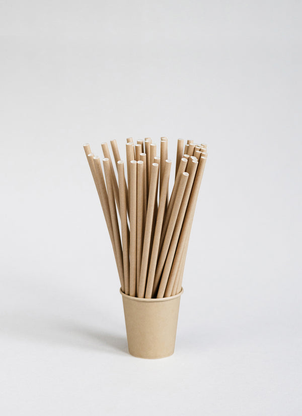 Paper Straws 8 inches