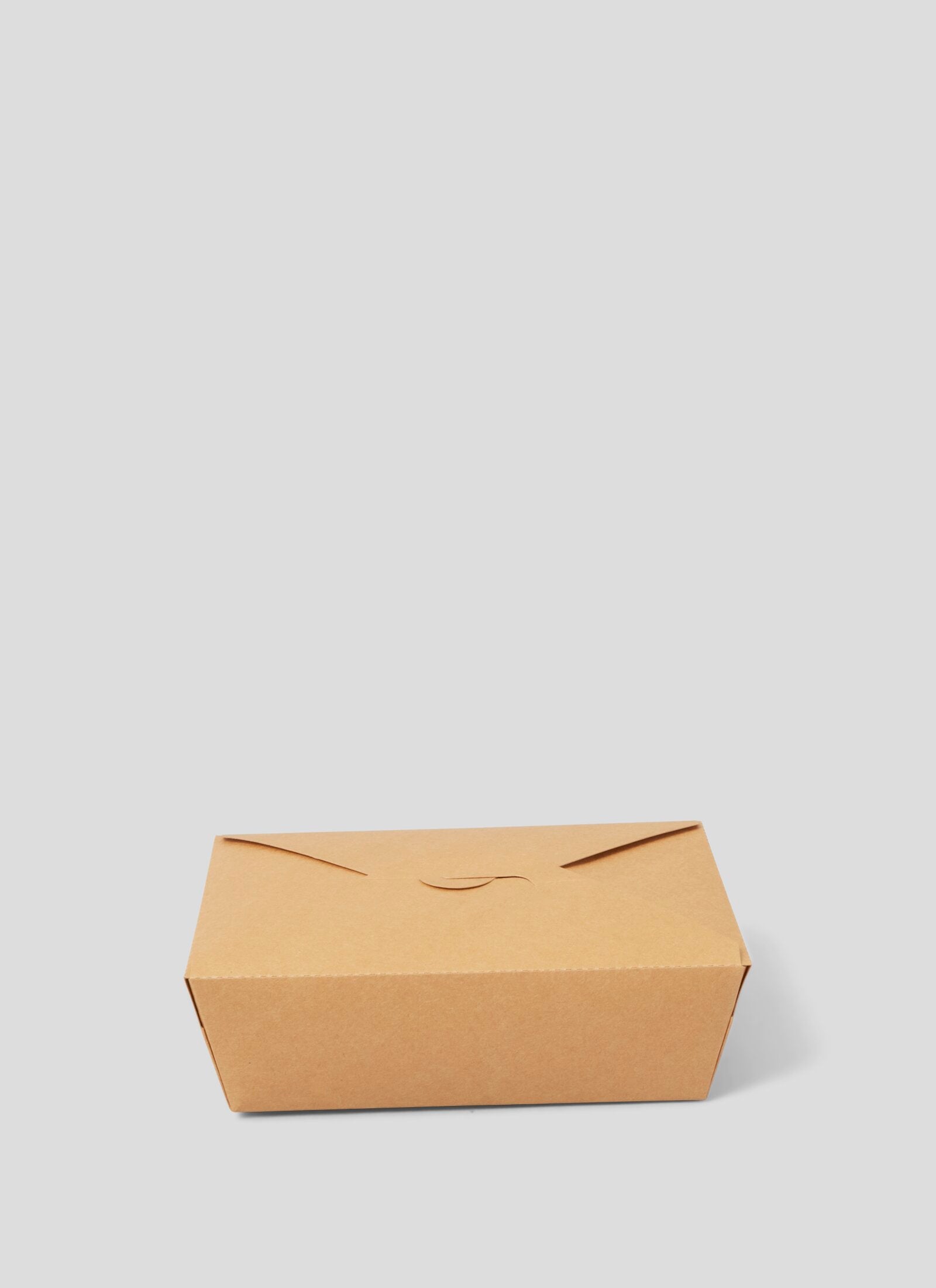 Lid CLosed Bento Box Sustainable Packaging