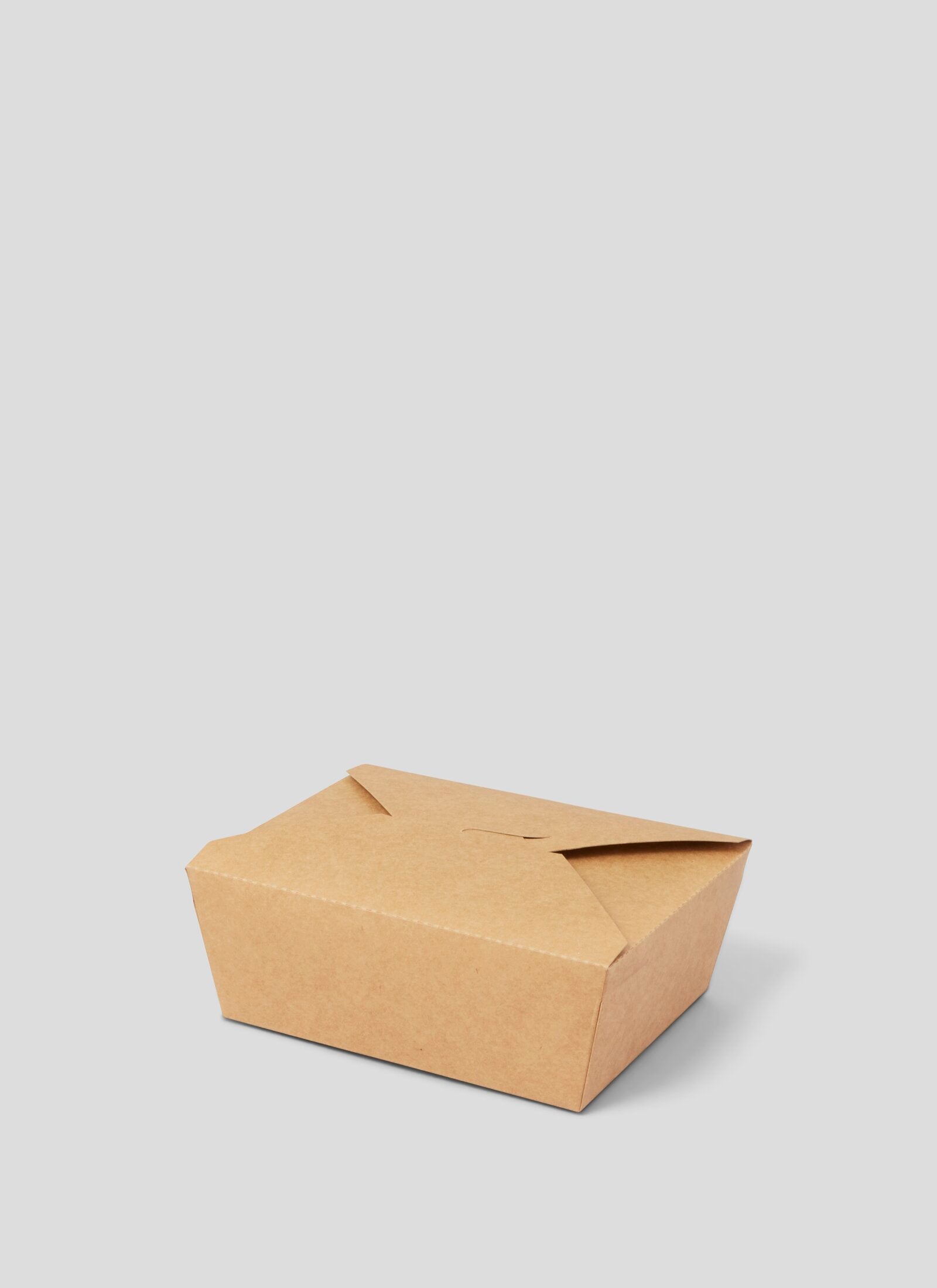 Sustainable Packaging Bento Box