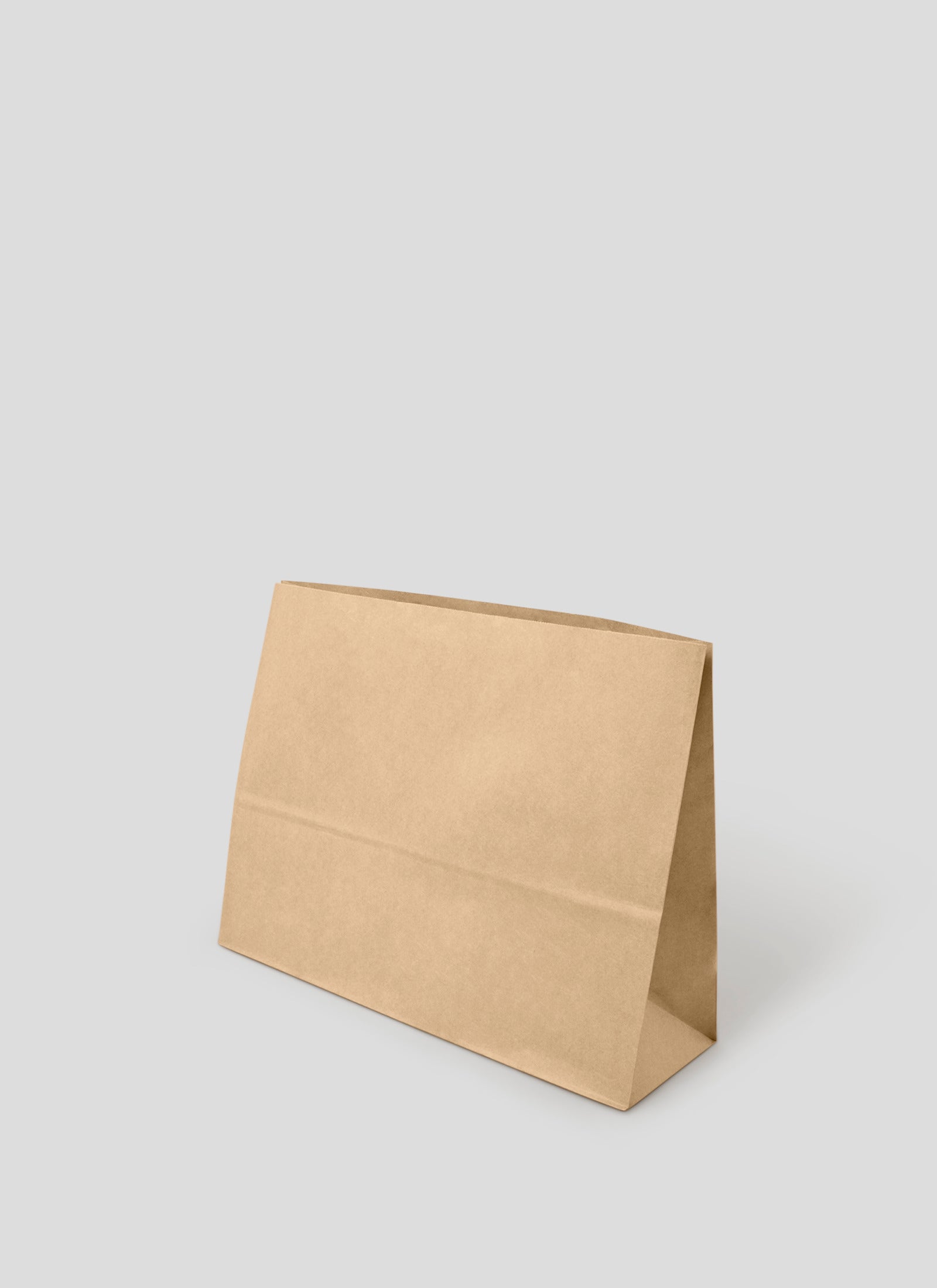 Large Takeaway Bags - Soyle